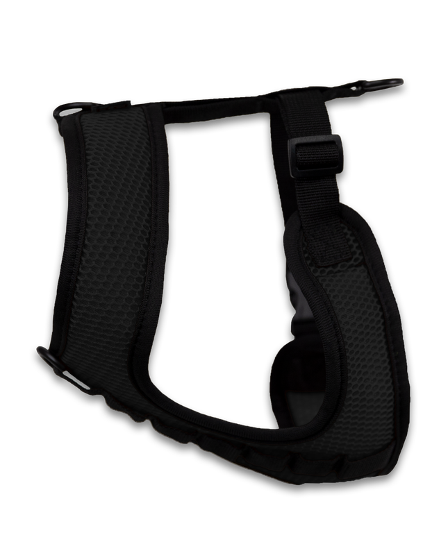 K9 Sport Harness: Anthracite Black / X-Small (11-13" Neck 11-15" Chest)