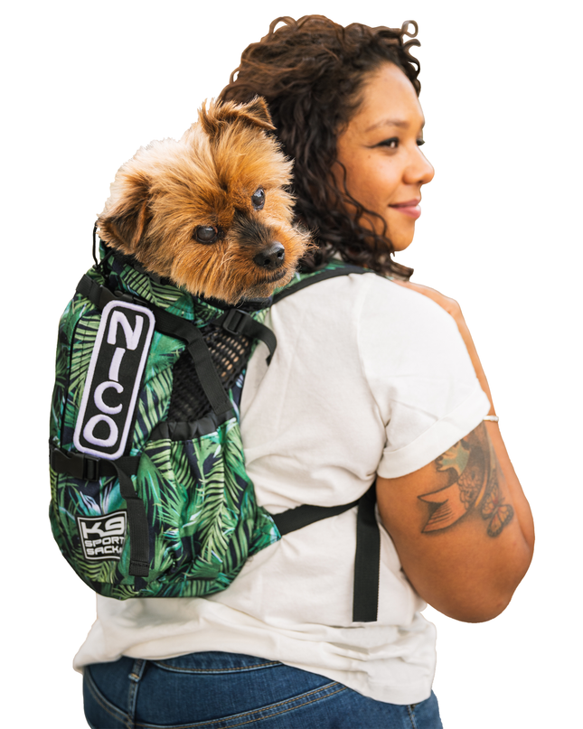 K9 Sport Sack® Air 2: Summer Mint / Large (20"-23" from collar to tail)