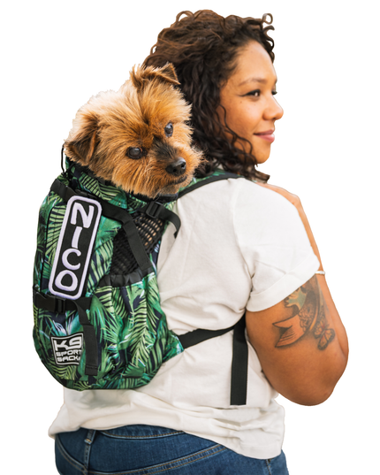 K9 Sport Sack® Air 2: Summer Mint / Medium (17"-20" from collar to tail)