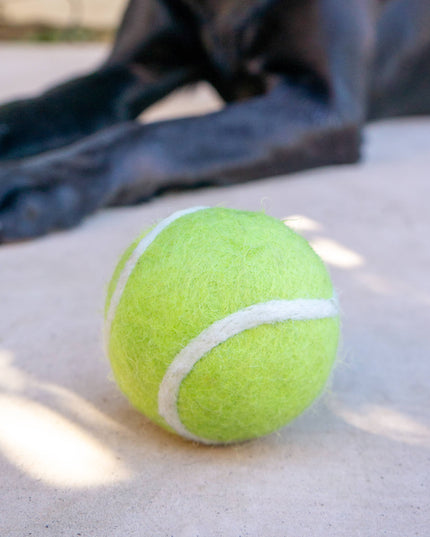 Tennis Eco Wool Dog Balls - GRAND SLAM