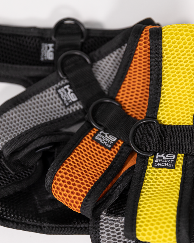 K9 Sport Harness: Sunset Orange / Large (17-19" Neck 17-24" Chest)