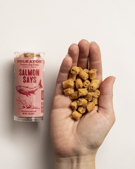 Mini Tube: Salmon Says, Training Bits - 2oz - Dog Treats