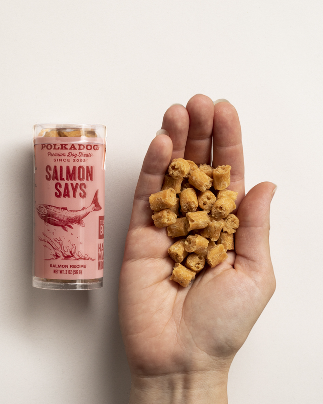 Mini Tube: Salmon Says, Training Bits - 2oz - Dog Treats