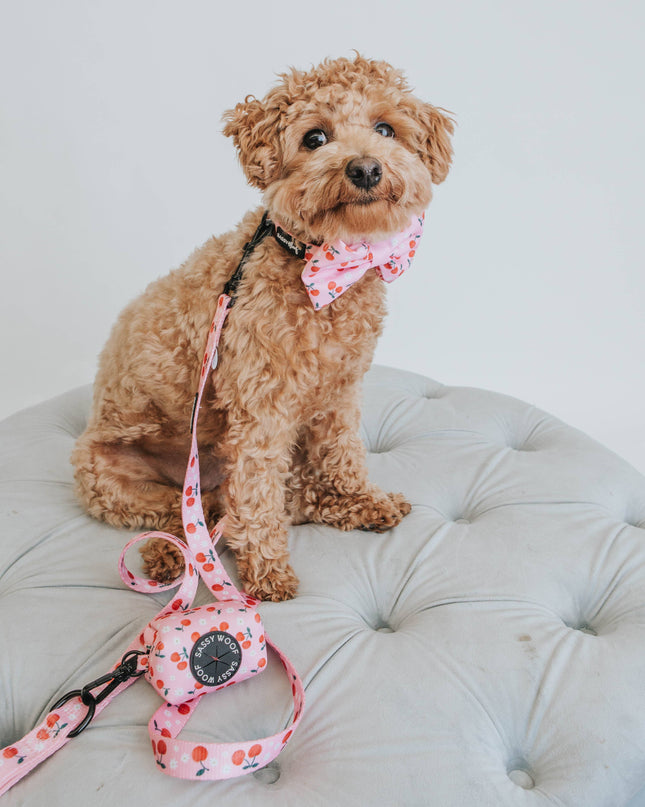 Dog Waste Bag Holder - Mon Cherry (Fruits)