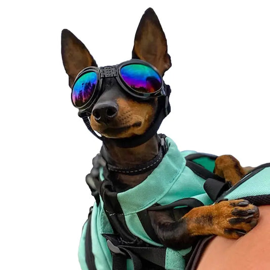 K9 Sport Shades - Dog Goggles