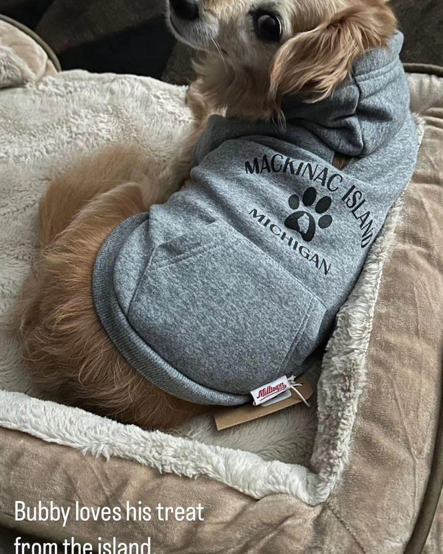 Gray Milltown Brand Mackinac Island Dog Hoodie