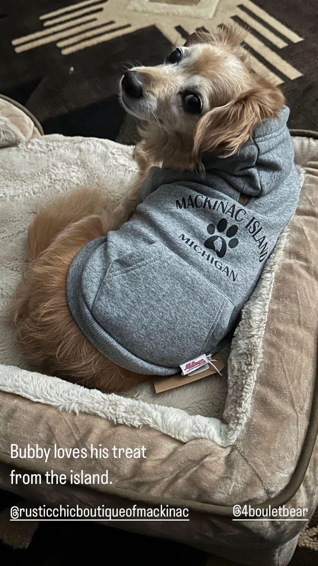 Gray Milltown Brand Mackinac Island Dog Hoodie