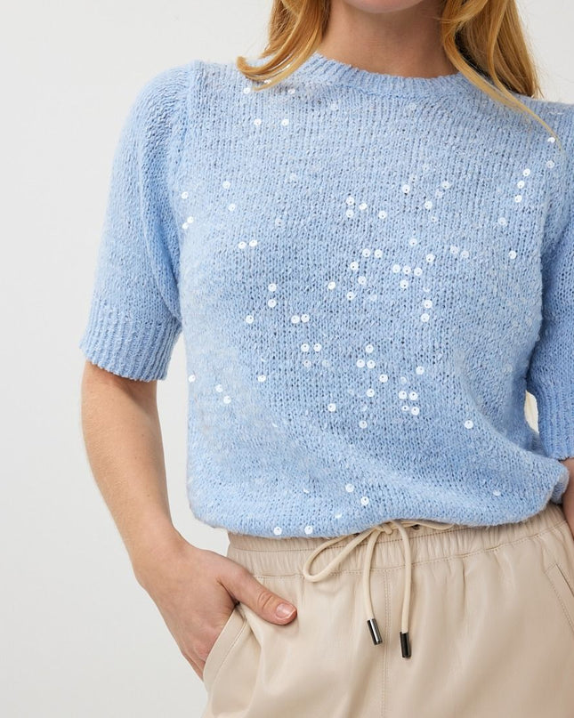 Blue Sequin Sweater Top