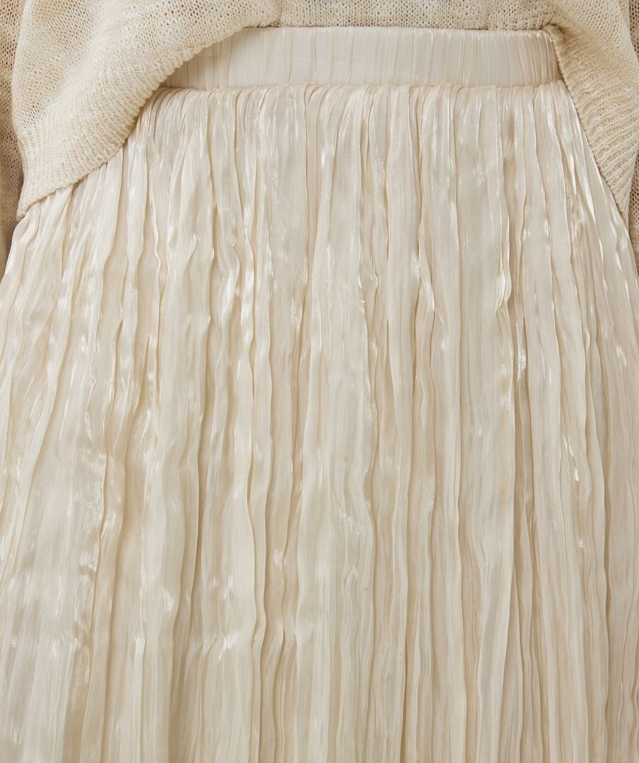 Skirt Plisse Changeant