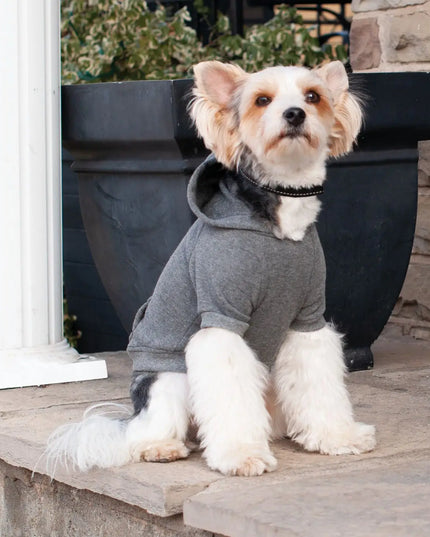 Gray Heather Knit Hoodie