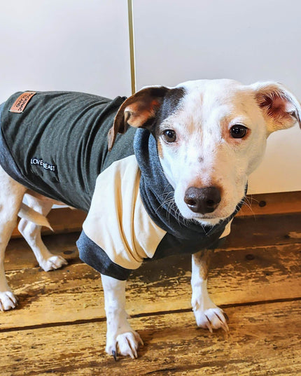 Bamboo Knit Hoodie