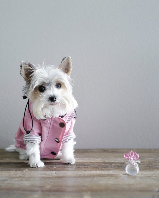 pink ellie rain jacket