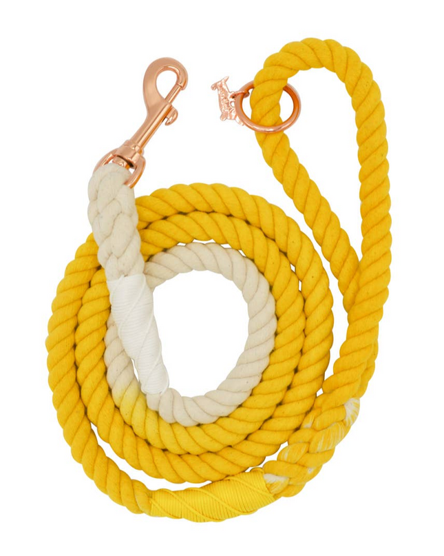 dog rope leash lemon drop