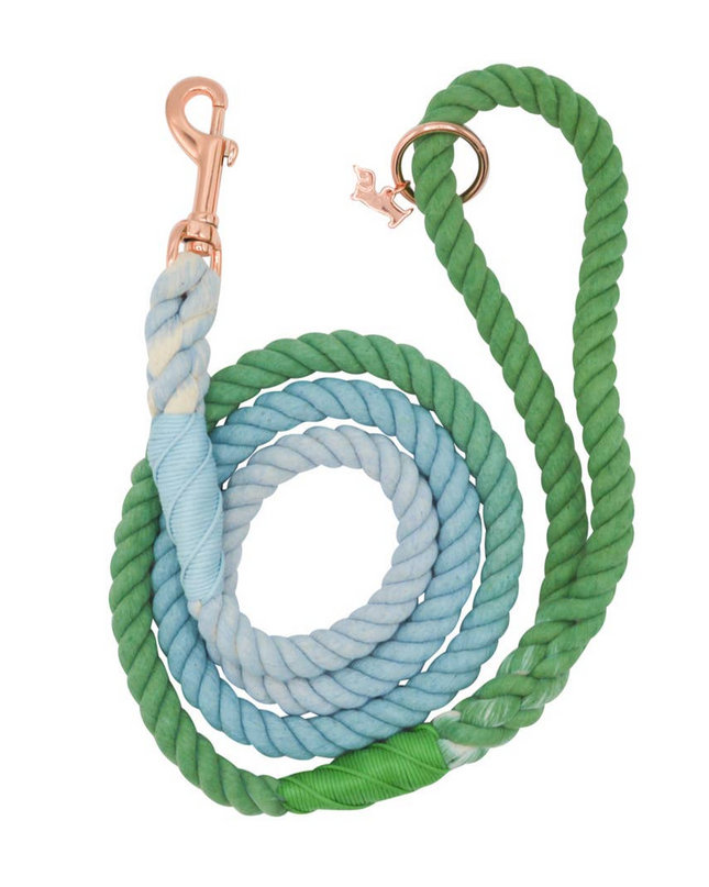 dog rope leash minty