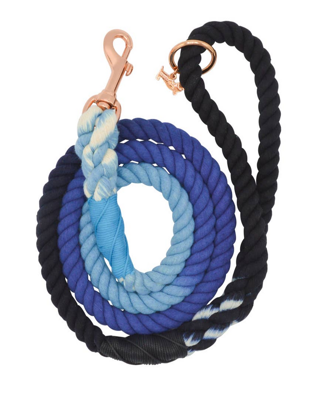 dog rope leash romeo